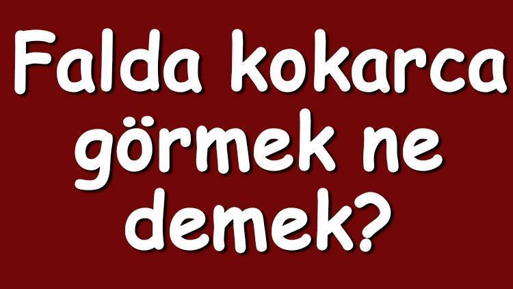 Falda kokarca görmek ne demek? Kahve falında kokarca çıkması anlamı nedir