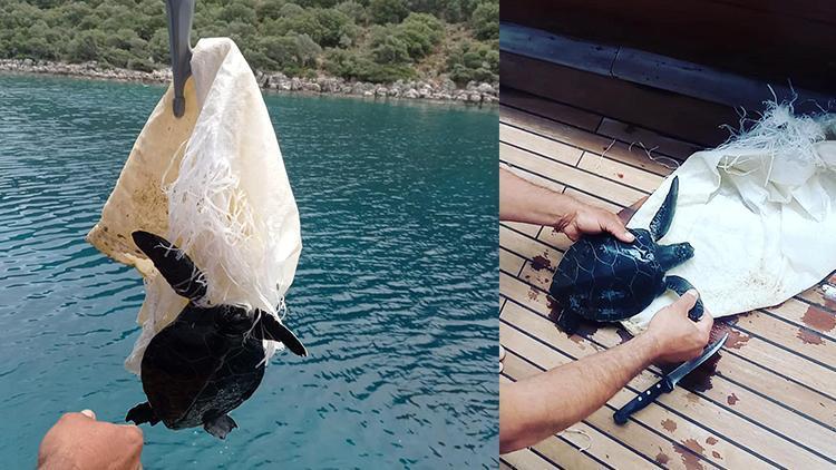 Mavi turda çuvala dolanan deniz kaplumbağasını görüp, kurtardı