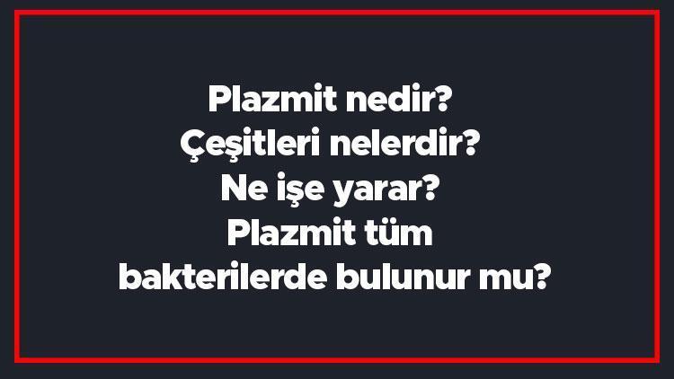 Plazmit nedir Çeşitleri nelerdir Ne işe yarar Plazmit tüm bakterilerde bulunur mu