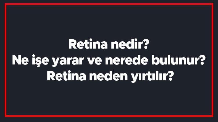 Retina nedir Ne işe yarar ve nerede bulunur Retina neden yırtılır