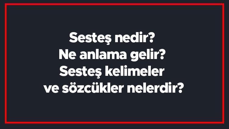 Sesteş nedir Ne anlama gelir Sesteş kelimeler ve sözcükler nelerdir