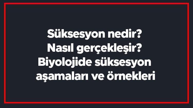 Süksesyon nedir Nasıl gerçekleşir Biyolojide süksesyon aşamaları ve örnekleri