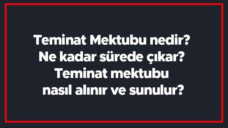 Teminat Mektubu nedir Ne kadar sürede çıkar Teminat mektubu nasıl alınır ve sunulur