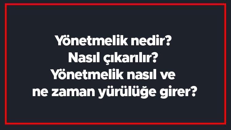 Yönetmelik nedir Nasıl çıkarılır Yönetmelik nasıl ve ne zaman yürülüğe girer