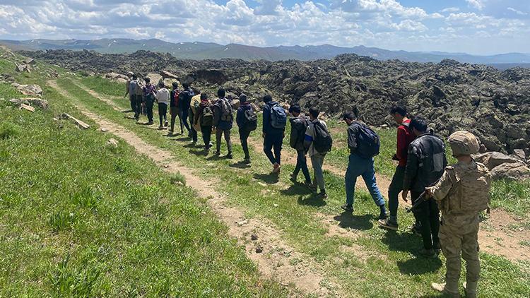 Vanda göçmen kaçaklığına suçüstü: 1 kişi tutuklandı