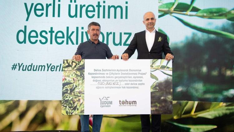 Yabani zeytin ağaçları  ekonomiye kazandırılıyor