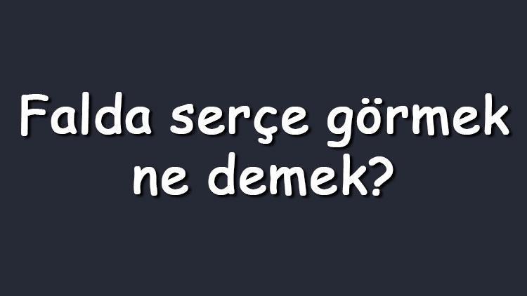 Falda serçe görmek ne demek Falda serçe kuşu ve yavrusu çıkması anlamı