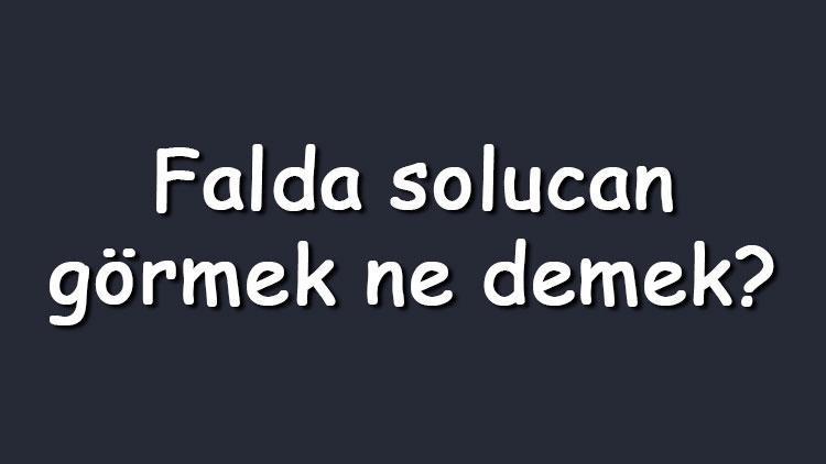 Falda solucan görmek ne demek? Kahve falında büyük, siyah ve iki tane solucan çıkması anlamı