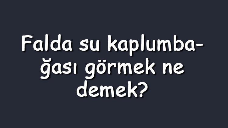 Falda su kaplumbağası görmek ne demek? Kahve falında su kaplumbağası çıkması anlamı