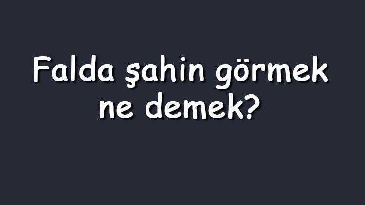 Falda şahin görmek ne demek? Kahve falında şahin kafası ve gagası çıkması anlamı