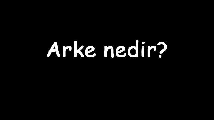 Arke nedir Nasıl ürer Nasıl beslenir Arke tek hücreli midir