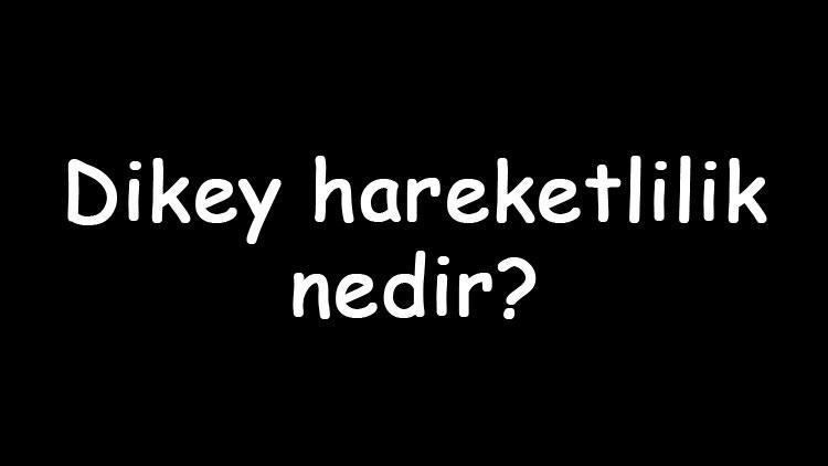 Dikey hareketlilik nedir Özellikleri nelerdir Dikey ve yatay hareketlilik örnekleri