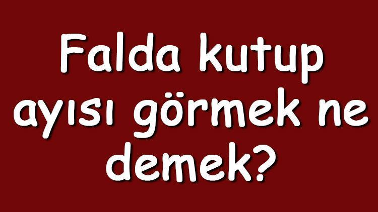 Falda kutup ayısı görmek ne demek? Kahve falında kutup ayısı çıkması anlamı nedir