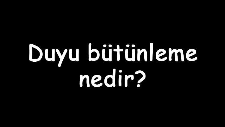 Duyu bütünleme nedir Ne işe yarar Duyu bütünleme kimlere uygulanır