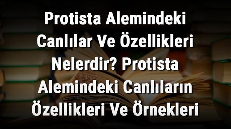 Protista Alemindeki Canlılar Ve Özellikleri Nelerdir Protista Alemindeki Canlıların Özellikleri Ve Örnekleri