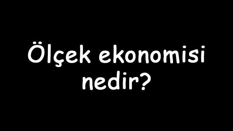 Ölçek ekonomisi nedir Nasıl hesaplanır Ölçek ekonomisi ve kapsam ekonomisi özellikleri