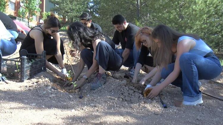 Ata tohumları toprakla buluştu