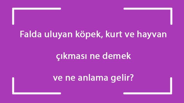 Falda uluyan köpek, kurt ve hayvan çıkması ne demek ve ne anlama gelir?