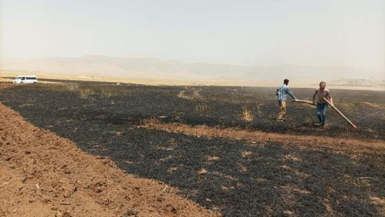 Mardinde 30 dönüm ekili buğday yandı