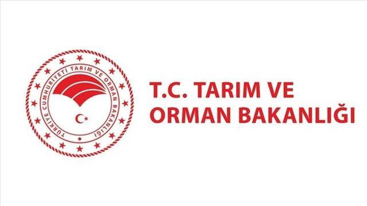 Tarım ve Orman Bakanlığı personel alımı başvuru şartları neler İşte KPSS tercih kılavuzundan bilgiler