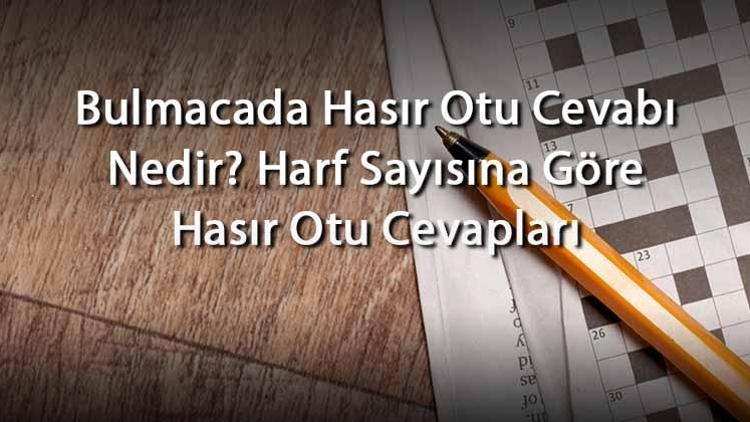 Bulmacada Hasır Otu Cevabı Nedir Harf Sayısına Göre Hasır Otu Cevapları