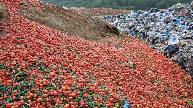 Antalyada çöpe dökülen sebzelerle ilgili açıklama: Sofraya uygun değiller