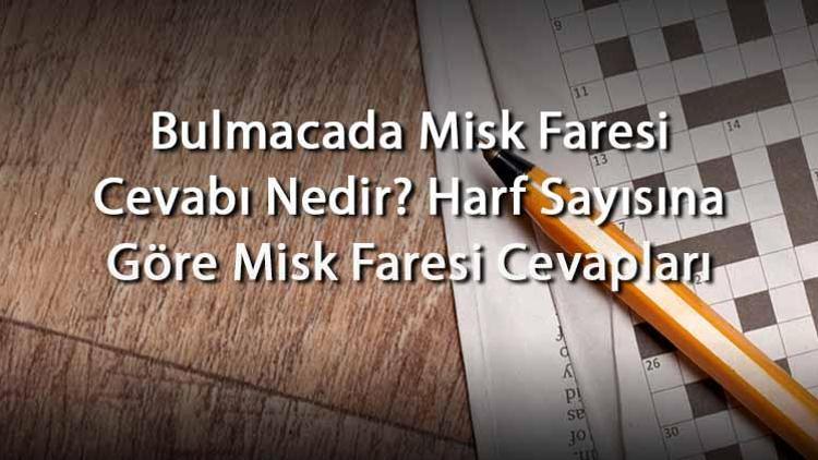 Bulmacada Misk Faresi Cevabı Nedir Harf Sayısına Göre Misk Faresi Cevapları