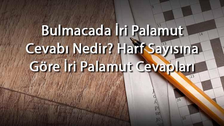 Bulmacada İri Palamut Cevabı Nedir Harf Sayısına Göre İri Palamut Cevapları