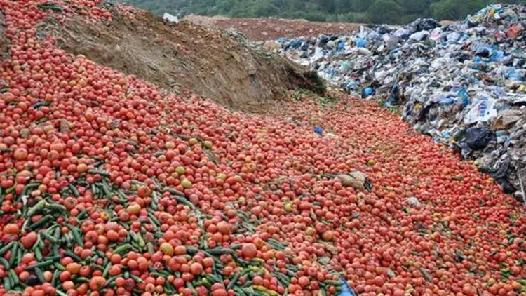 Bakan Muş açıkladı: Çöpe dökülen sebzelerle ilgili inceleme başlatıldı