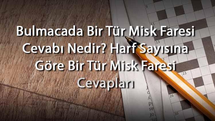 Bulmacada Bir Tür Misk Faresi Cevabı Nedir Harf Sayısına Göre Bir Tür Misk Faresi Cevapları