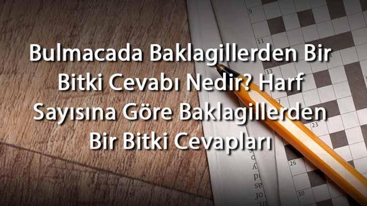 Bulmacada Baklagillerden Bir Bitki Cevabı Nedir Harf Sayısına Göre Baklagillerden Bir Bitki Cevapları