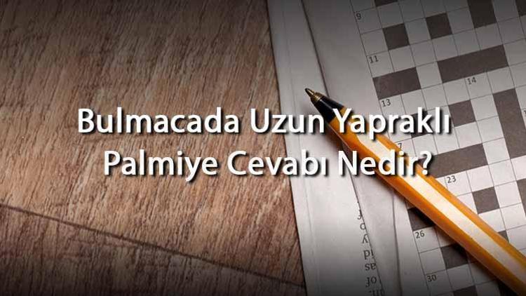 Bulmacada Uzun Yapraklı Palmiye Cevabı Nedir Harf Sayısına Göre Uzun Yapraklı Palmiye Cevapları