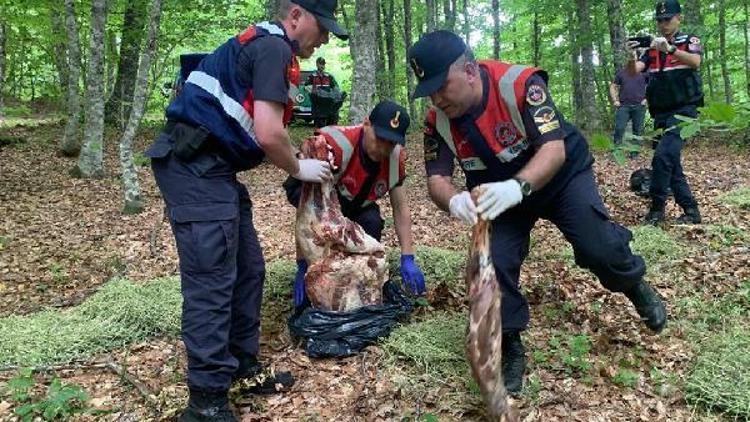 Mengende yaban hayvanları için doğaya yiyecek bırakıldı