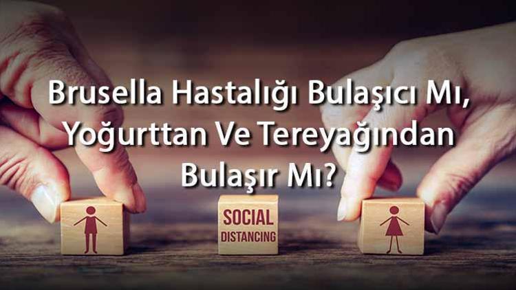 Brusella Hastalığı Bulaşıcı Mı, Yoğurttan Ve Tereyağından Bulaşır Mı Brusella Nasıl Bulaşır Ve Bulaşma Yolları Nelerdir