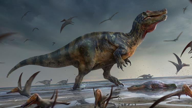 Avrupada büyük keşif: En büyük etçil dinozoruna ait iskelet parçaları bulundu