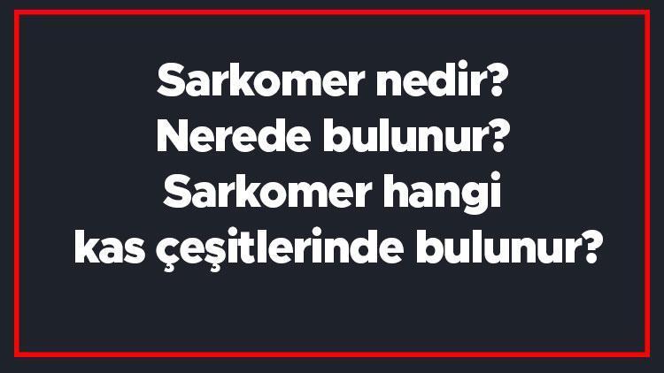 Sarkomer nedir Nerede bulunur Sarkomer hangi kas çeşitlerinde bulunur