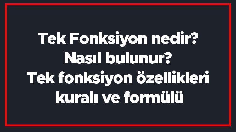 Tek Fonksiyon nedir Nasıl bulunur Tek fonksiyon özellikleri kuralı ve formülü