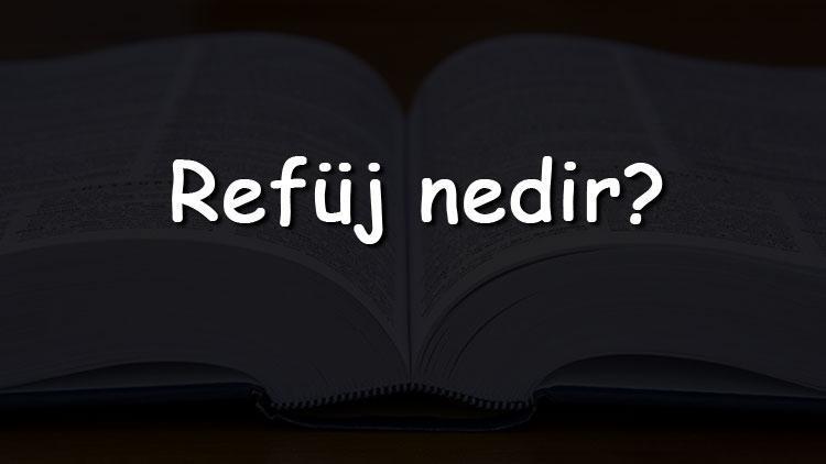 Refüj nedir Ne anlama gelir TDKya göre refüj kelimesinin sözlük anlamı