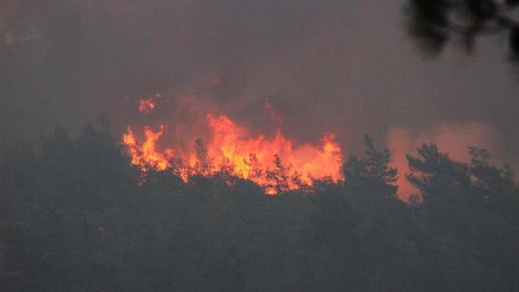 İçişleri Bakanlığı, valilikleri orman yangınlarıyla ilgili bir kez daha uyardı