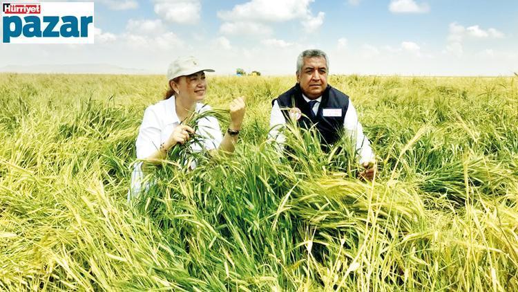 Tarımda eski köye yeni âdetler