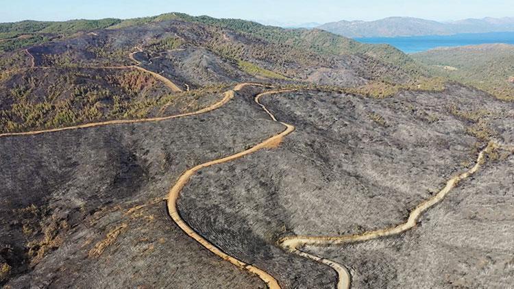 Marmariste orman yangını: Yemyeşildi küle döndü