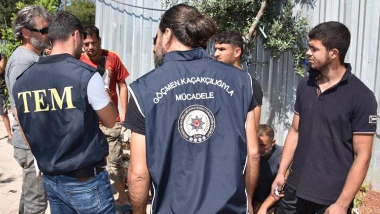 İçişleri Bakanlığı: 1543 düzensiz göçmen yakalandı