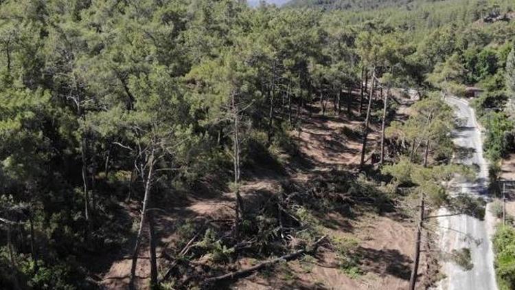 Aydın’da yasak ormanlık alana giren 14 şahsa cezai işlem uygulandı