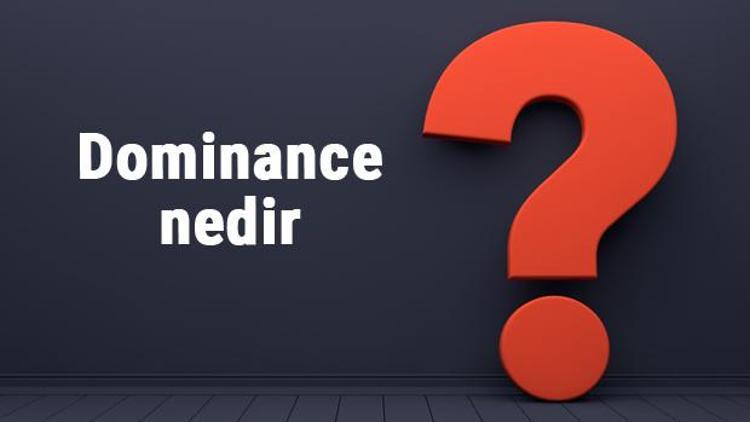 Dominance nedir Neden düşer veya yükselir Dominance neyi ifade eder