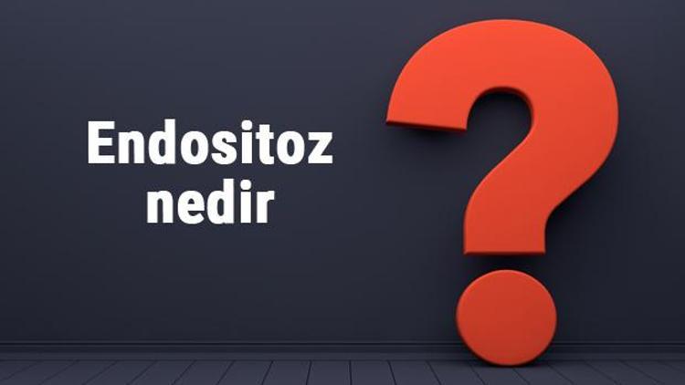 Endositoz nedir, nasıl gerçekleşir Endositoz bitki hücrelerinde neden görülmez