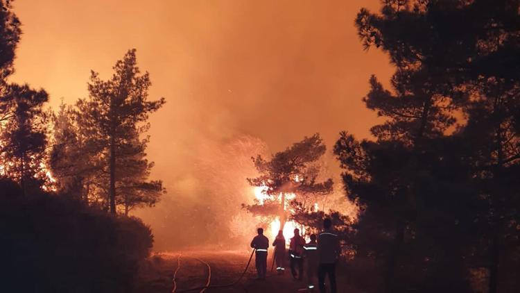 AFADdan 6 il için orman yangını uyarısı