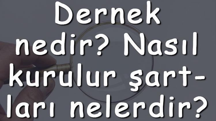 Dernek nedir Nasıl kurulur şartları nelerdir Dernekler ne işe yarar ve neden kurulur