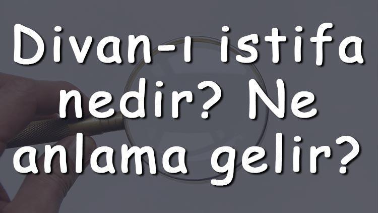 Divanı istifa nedir Ne anlama gelir Anadolu Selçuklu devletinde görevleri nelerdir