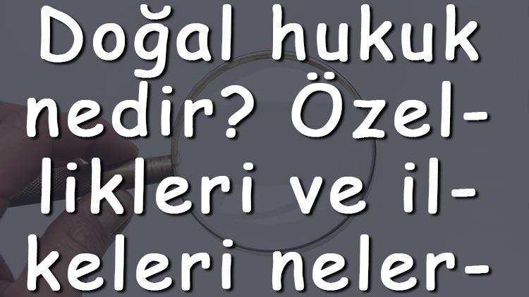 Doğal hukuk nedir Özellikleri ve ilkeleri nelerdir Doğal hukuk kuramı örnekleri