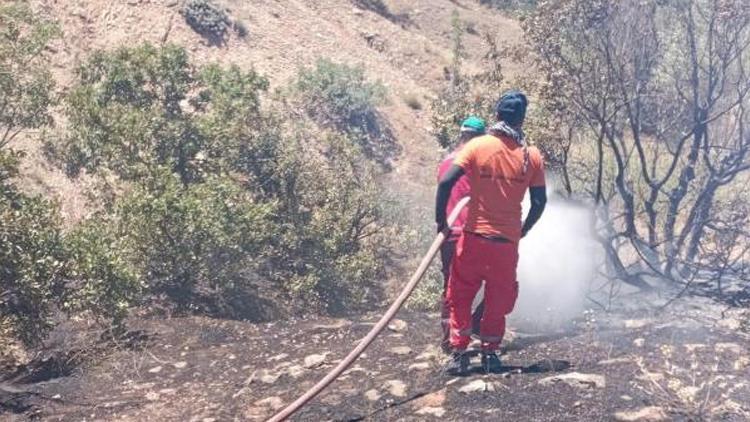 Bingölde orman yangını: Kısa sürede söndürüldü